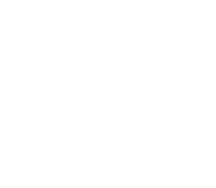 logo 900